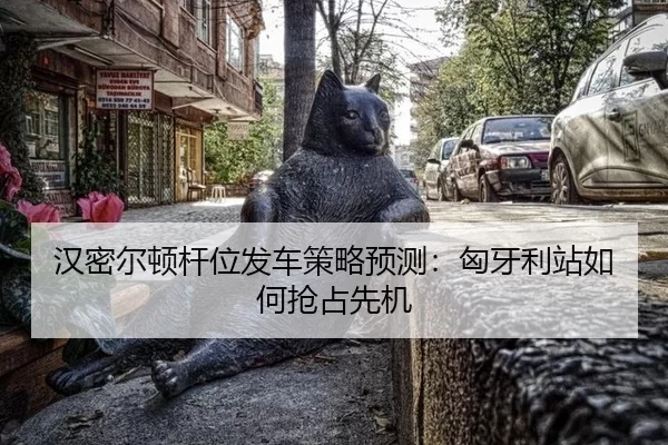 han-mi-er-dun-gan-wei-fa-che-ce-lve-yu-ce-xiong-ya-li-zhan-ru-he-qiang-zhan-xian-ji-2-638.jpg