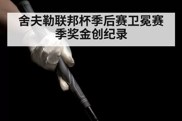 舍夫勒联邦杯季后赛卫冕赛季奖金创纪录