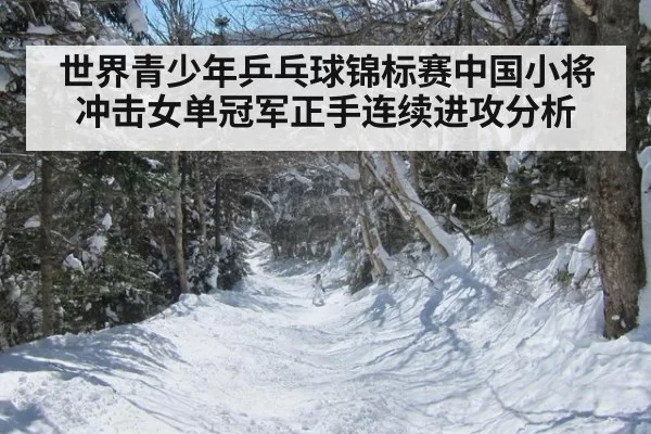 世界青少年乒乓球锦标赛中国小将冲击女单冠军正手连续进攻分析